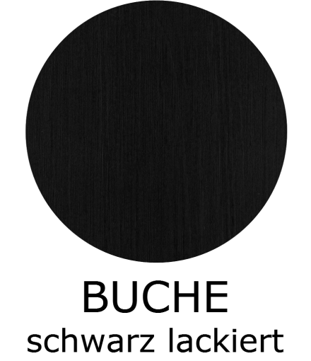 22-buche-schwarz-lackiert67FAF4F8-BBDA-0969-B0AA-8B999596C38F.png
