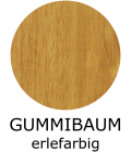 16-gummibaum-erlefarbigCD646156-970D-8CB9-6586-E77AAA89D649.png