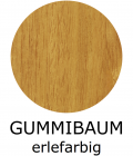 16-gummibaum-erlefarbig41CA95B3-C82E-5776-890B-3AACA49F3462.png